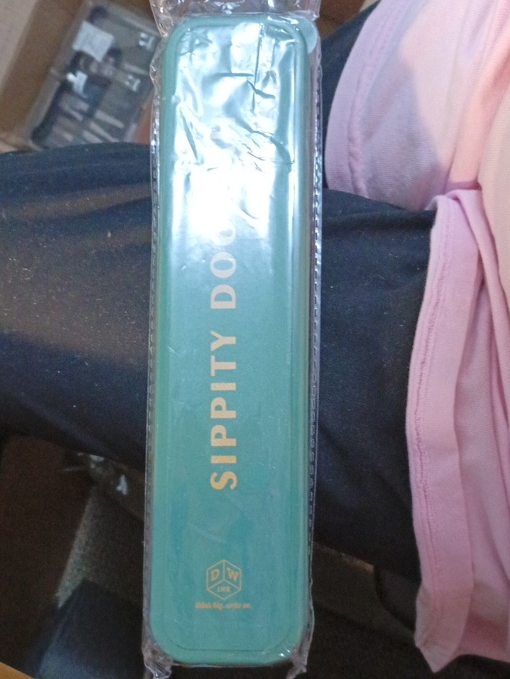 DesignWorks Ink Teal 'SIPPITY DO' Travel Case with Gold Lettering